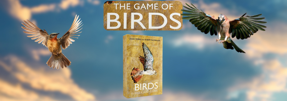 An image of the box of the Game of Birds in the sky with a bird flying on either side