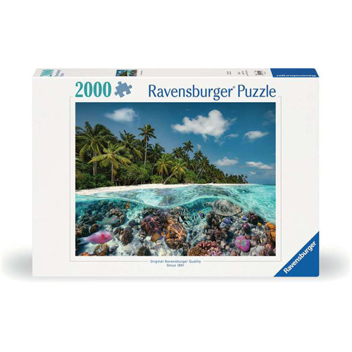 A Dive in the Maldives, 2000pc