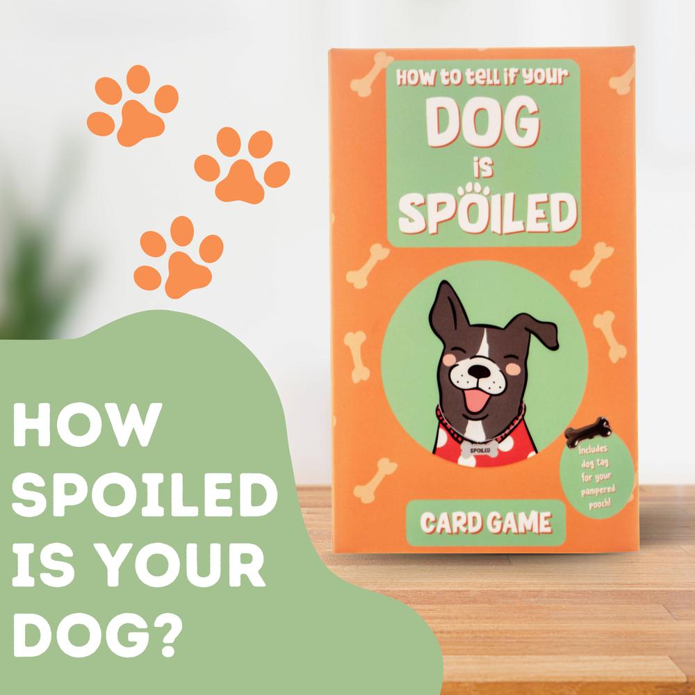 How To Tell If Your Dog Is Spoiled_1