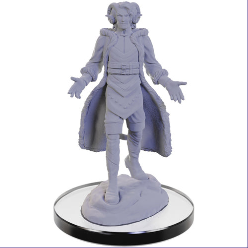 Critical Role Unpainted Miniatures W5: Lucien Tavelle & Cree Deeproots