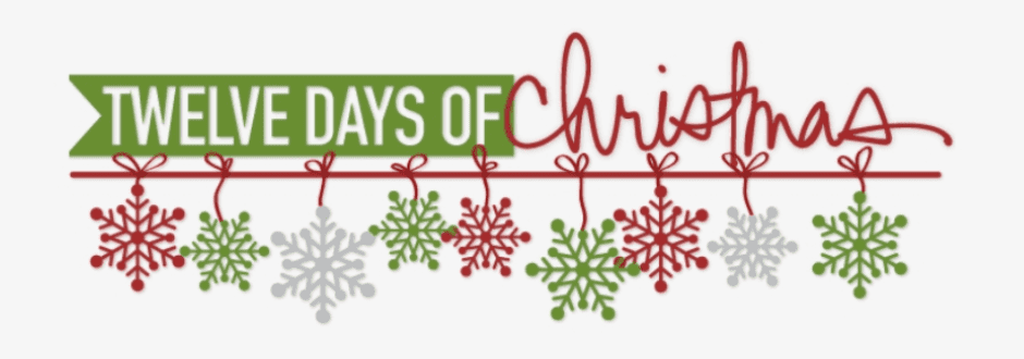 The 12 Days of Christmas – Zatu Blogger style! Day 3 – 10