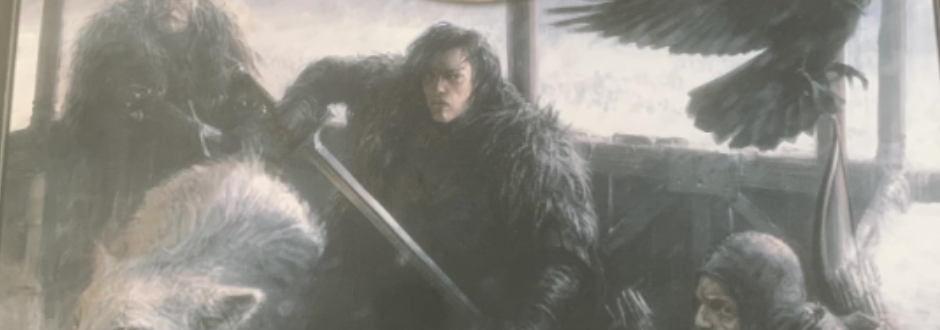 A Song Of Ice And Fire: Nights Watch Starter Set Review