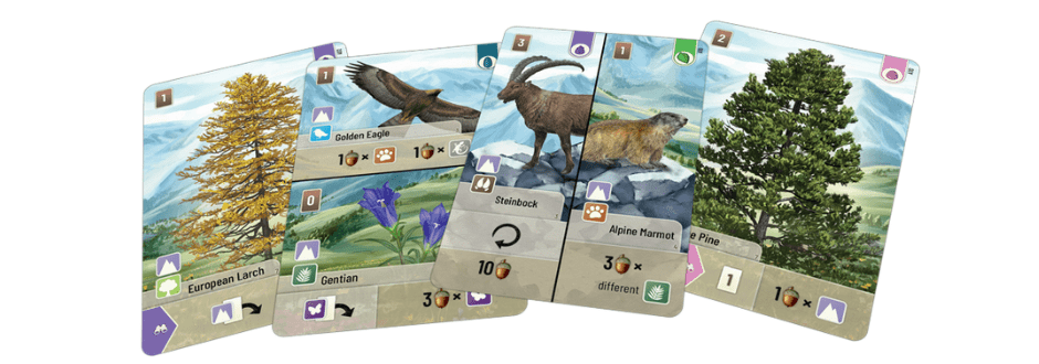 Forest Shuffle Alpine Expansion Review