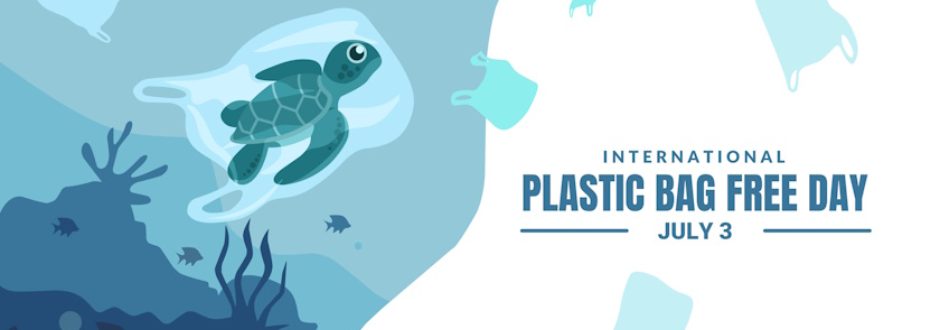 Top 5 Plastic Free Games