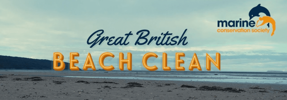 Top 6 Games For The Great British Beach Clean!