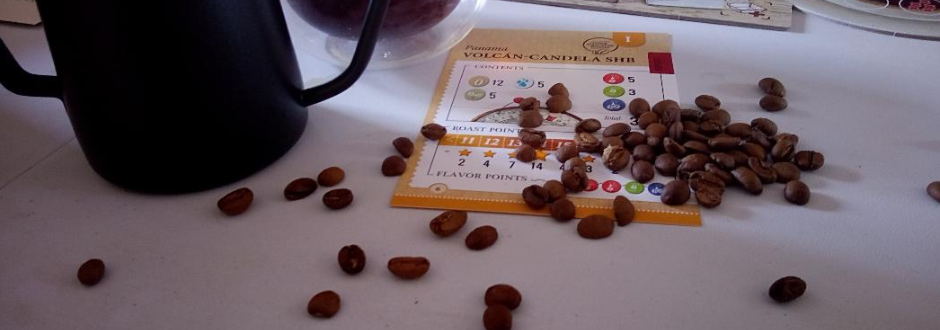 Coffee Roaster Review
