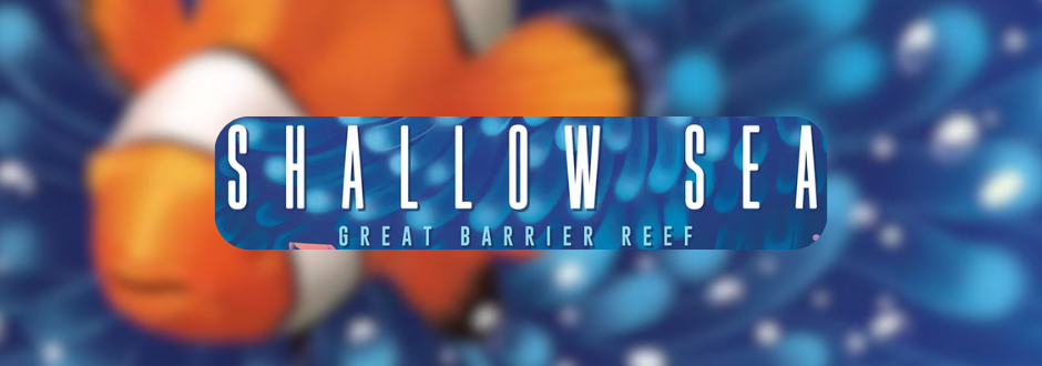 Shallow Sea review