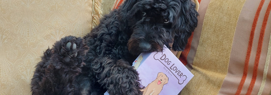 Dog Lover Review