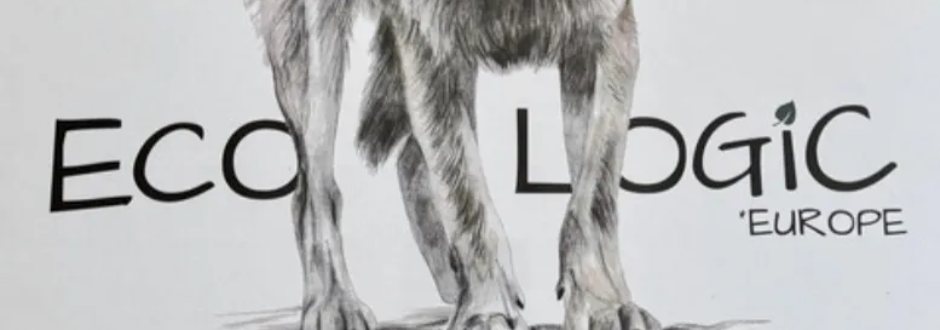 EcoLogic: Europe preview