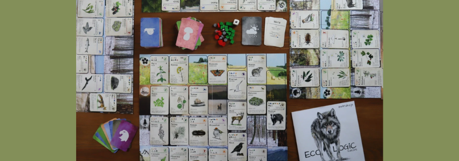 Top-down view of a nature-themed board game setup on a wooden table, with illustrated cards showing plants and animals, stacks of colored cards, small green and red game tokens, and a rule booklet featuring a wolf labelled “Ecologic Europe.”
