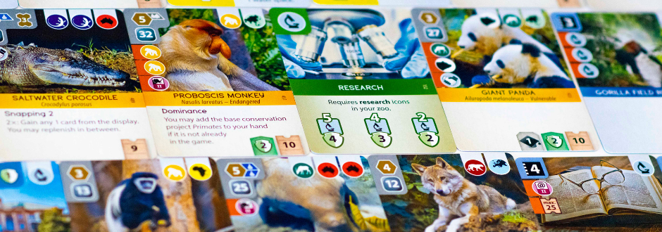 Ecology Board Games – Saving World With Stacks Of Cards