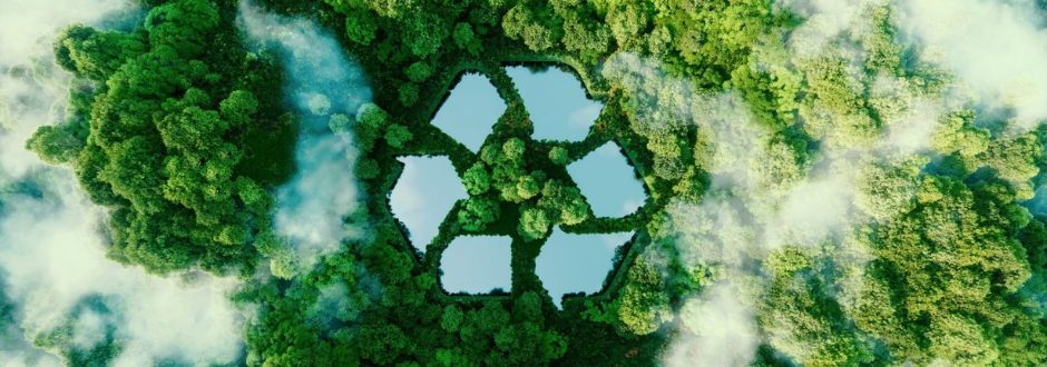 Aerial view of lush green forest with clearings shaped like a recycling symbol, surrounded by light mist.