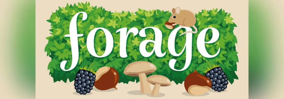 A playful illustration with the word “Forage” surrounded by greenery, featuring a small mouse, mushrooms, acorns, and blackberries.