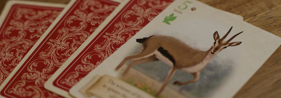 Fox In The Forest Duet Review