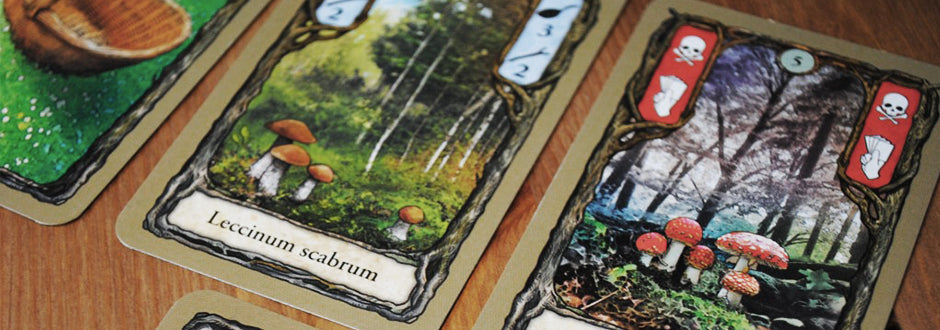Fungi Board Game Review