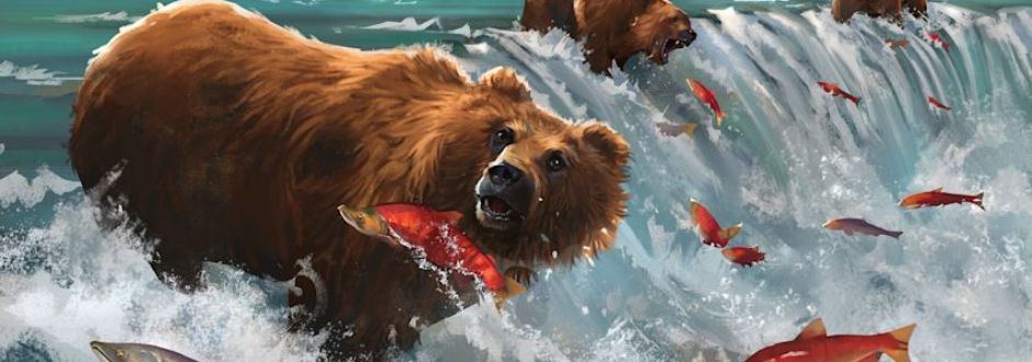 Brown bears fishing in a rushing waterfall, surrounded by leaping salmon. The scene conveys action and energy amid splashing water.