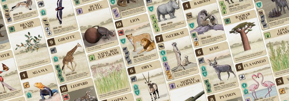 Board game cards featuring African wildlife and plants, such as lions, giraffes, and baobab trees. The cards are illustrated with earthy tones.