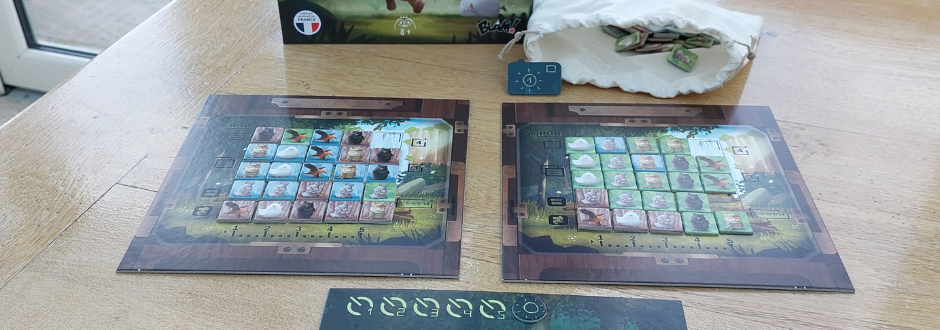 Loco Momo Review