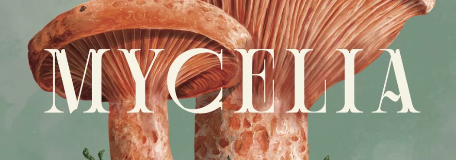 Mycelia solo review