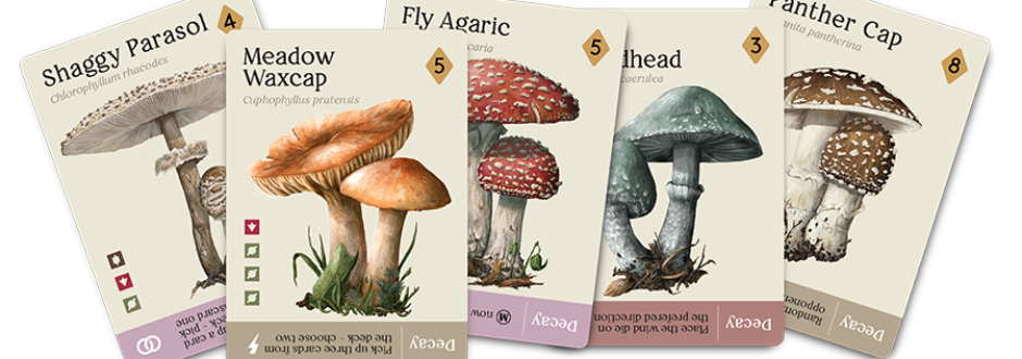 Mycelia review