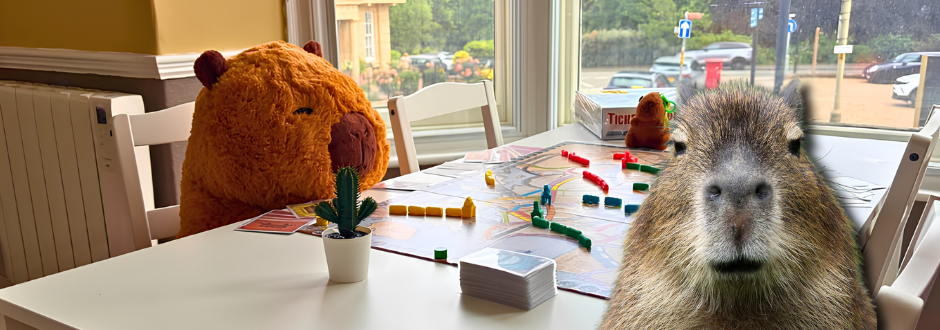 Stay Cappy: Scarborough’s new capybara-themed board game café!