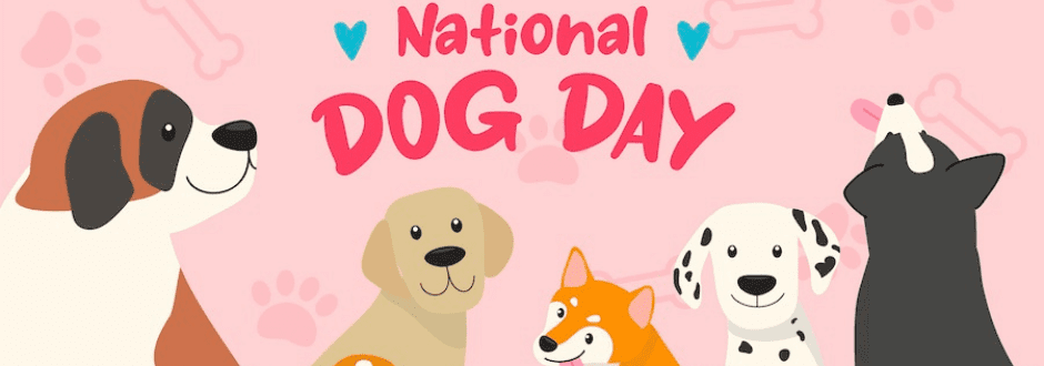 Top 5 National Dog Day Games!