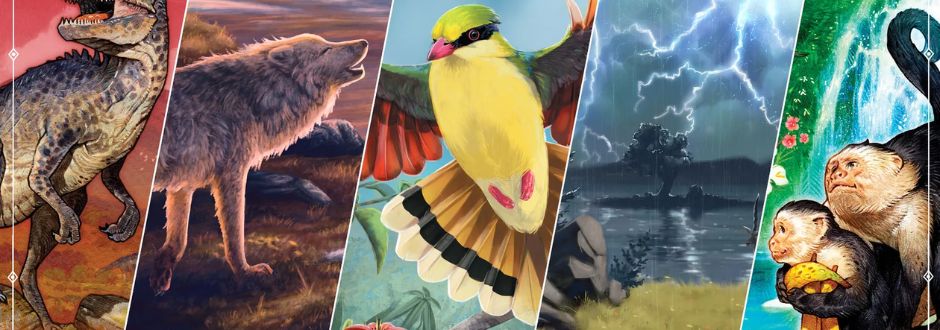4 images of 4 separate animals/birds compiled into one banner