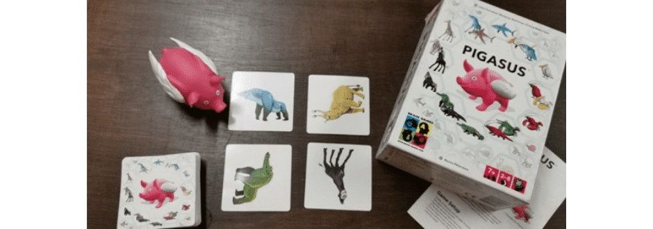 Pigasus Review