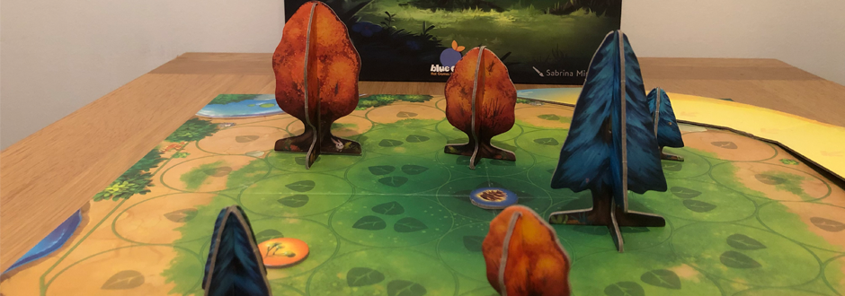 Top 5 Blue Orange Games