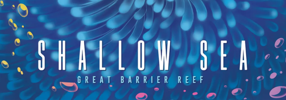 Shallow Sea preview