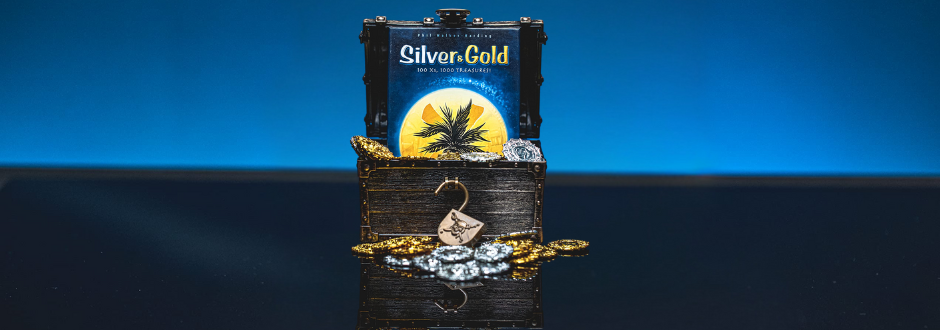 Silver & Gold: a Treasure Hunt Adventure review
