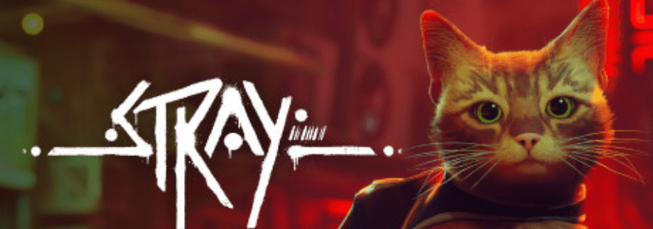 Stray Second Opinion