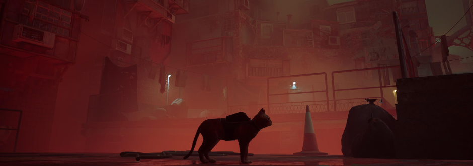 Stray PS5 Review