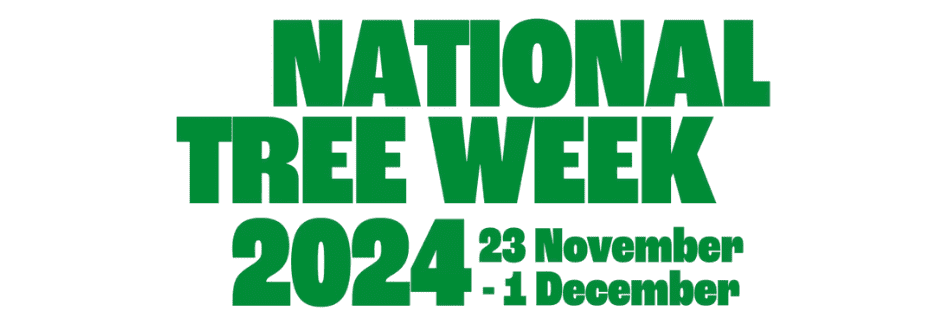 Top 5 Games for National Tree Week!