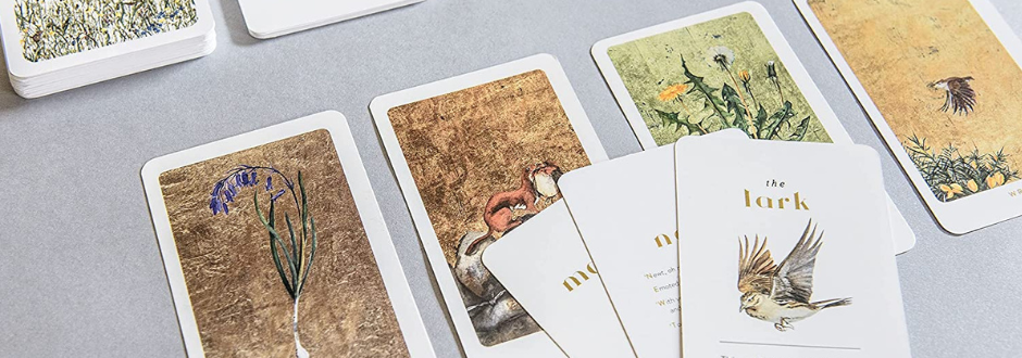 The Lost Words Card Game Review