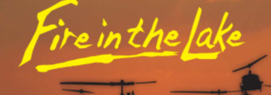 Fire in the Lake (Second Edition) review