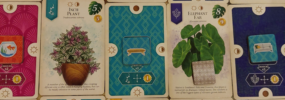 Verdant Solo Review