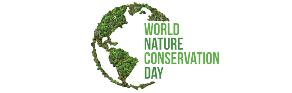 Top 5 Games For World Conservation Day