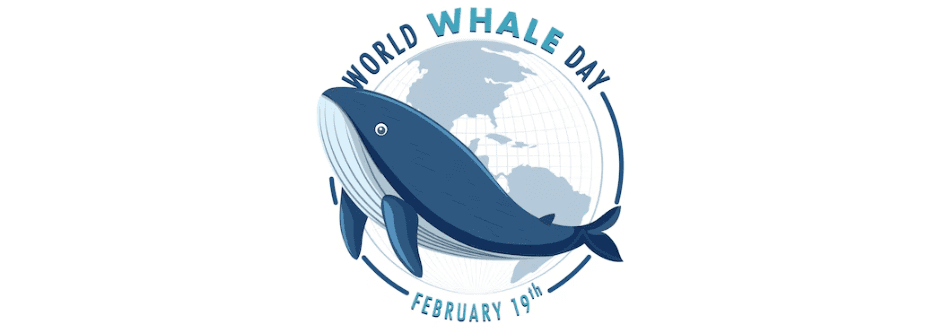 Games To Play On World Whale Day!