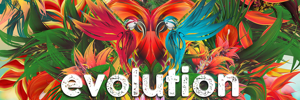 What the gamers are saying: Evolution