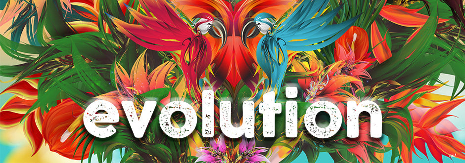 Let’s Play: Evolution