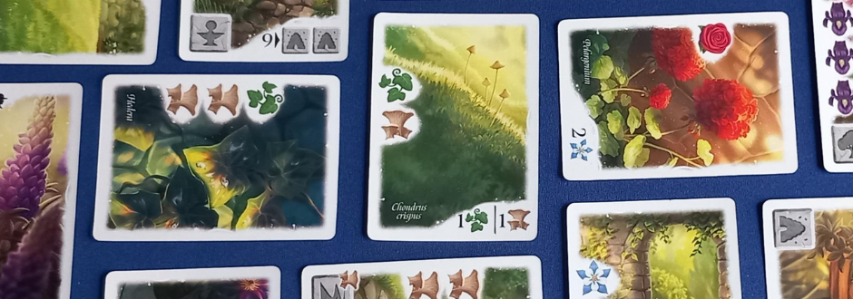 How To Play Flourish