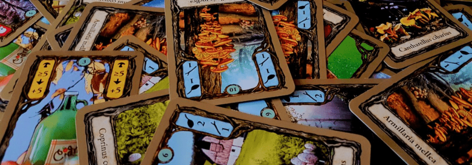 5 Great Board Games Under £10
