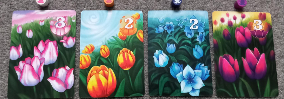 Gift Of Tulips Review