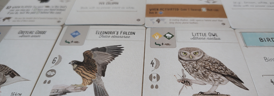 Which Wingspan Expansion Is For You?