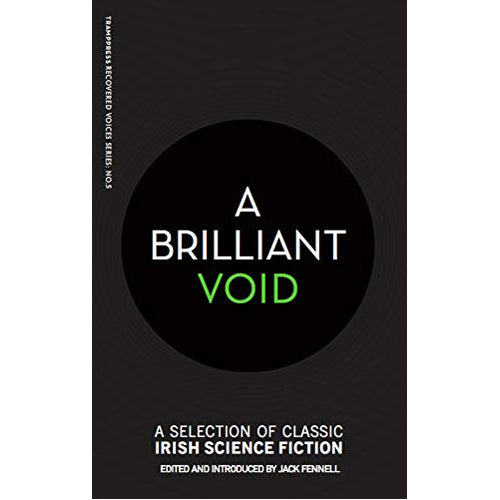 A Brilliant Void - (Paperback)