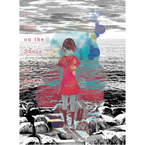 A Girl on the Shore (Paperback)