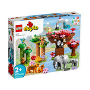 *A Grade* LEGO: Wild Animals of Asia