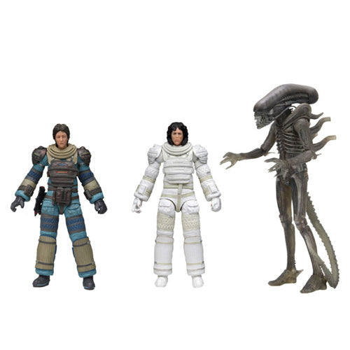 Alien 40th Anniversary Wave 4 - 7 Inch Scale Action Figure Assortment