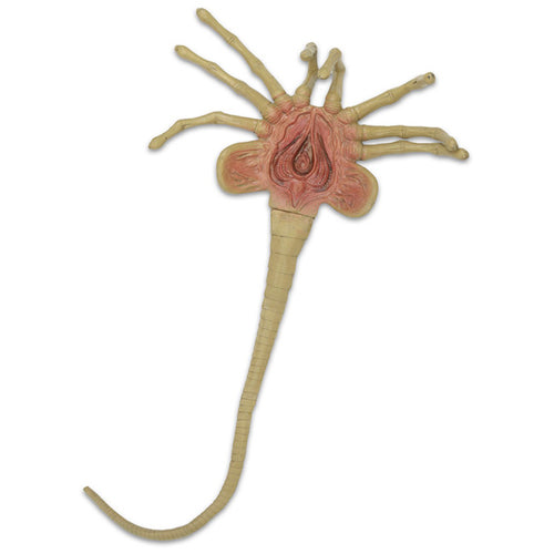 Alien Life Size Facehugger Foam Prop Replica